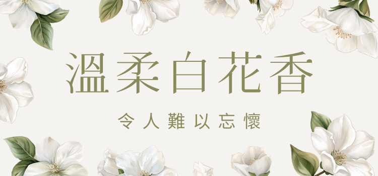 溫柔白花香，難以忘懷！