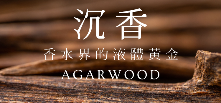 ⬤ 沉香 — 此香料堪比黃金！