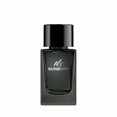 Mr Burberry 男性淡香精版本 TESTER