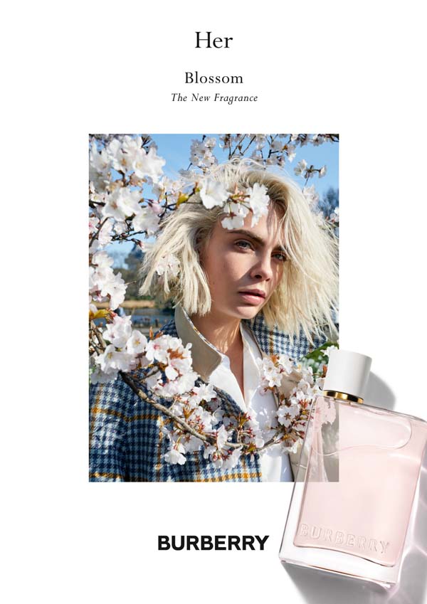Burberry Her Blossom 花與她女性淡香水