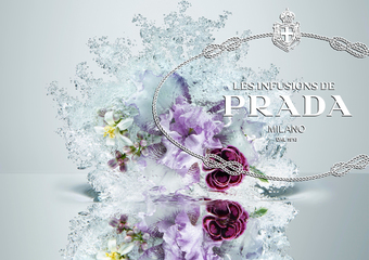 PRADA 鳶尾花精粹系列小香禮盒七入組