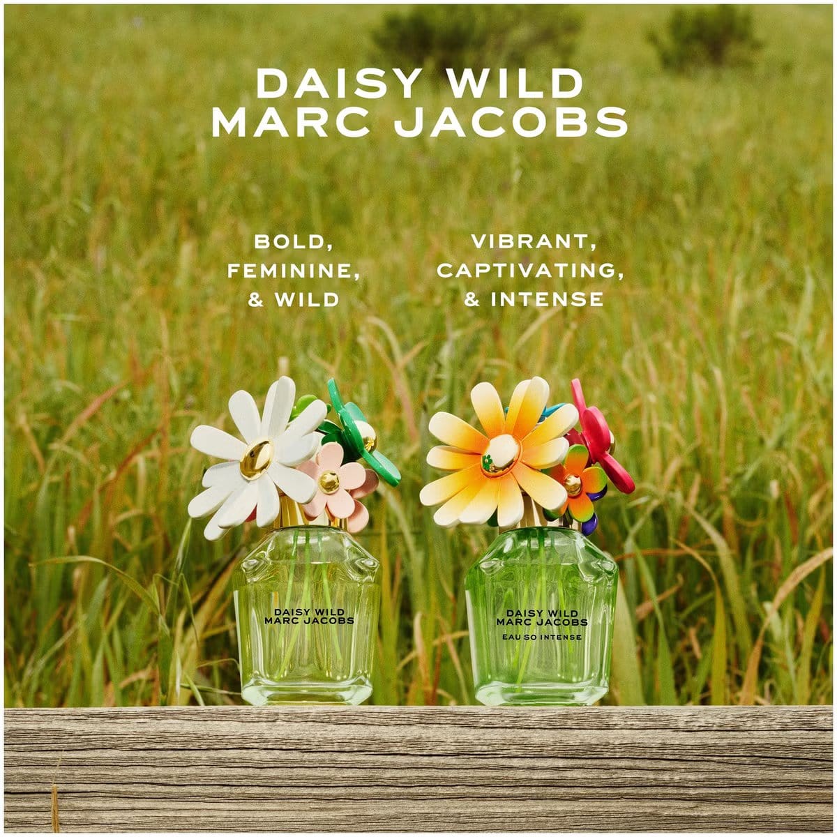 【紅利兌換】Marc Jacobs Daisy Wild Intense 極野之露女性淡香精試管 1.2ml