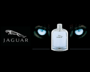 Jaguar Classic 新尊爵男性淡香水