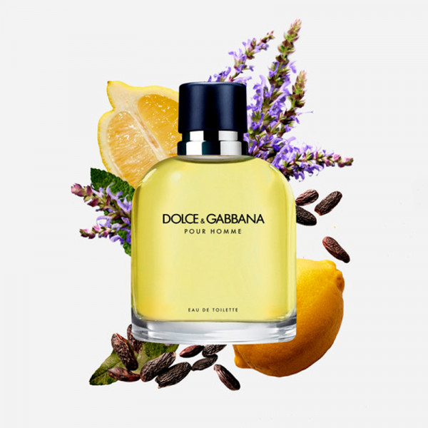 Dolce & Gabbana Pour Homme 同名男性淡香水