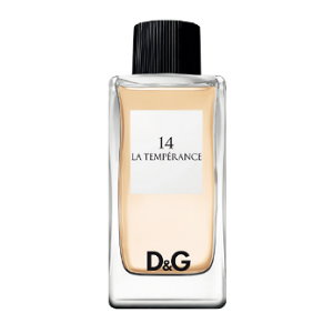 D&G 14 和諧之愛淡香水